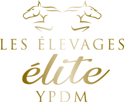 Logo Élevages Élite